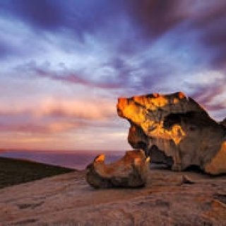 連載｜美しきBoutique city、アデレードへ Vol.2 ギャラリー