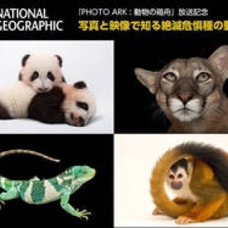 二子玉川ライズにて「写真と映像で知る絶滅危惧種の動物展」開催中｜EVENT