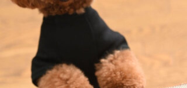 シュタイフ社×天野喜孝のポーラーベアーが誕生 - Web Magazine OPENERS