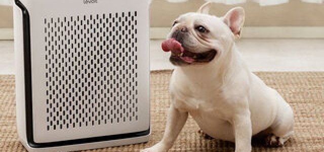 T-fal｜新ホームベーカリー「ブーランジェリー」発売 - Web