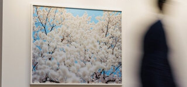 EXHIBITION｜「C is for Corita! シスター・コリータの