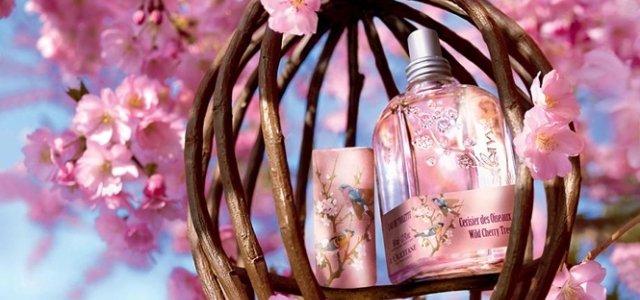 L'OCCITANE｜ロクシタンの新しい春の香り「ワイルドチェリーツリー
