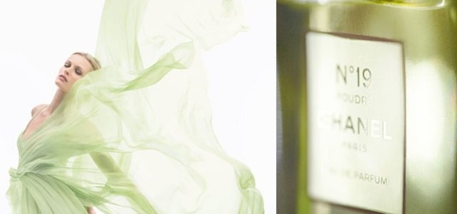 美品❣️シャネルCHANEL N°19プードレ　オードゥパルハァム 香水 シャネル N°19 プードレ オードゥ パルファム（ヴァポリザター） - 100