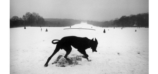 ART｜東京国立近代美術館で『ジョセフ・クーデルカ展』 ギャラリー