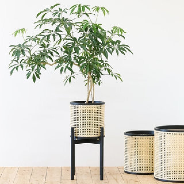 家具工房「MOKUJI」が生産を手がけたプランターカバー｜ARAHEAM