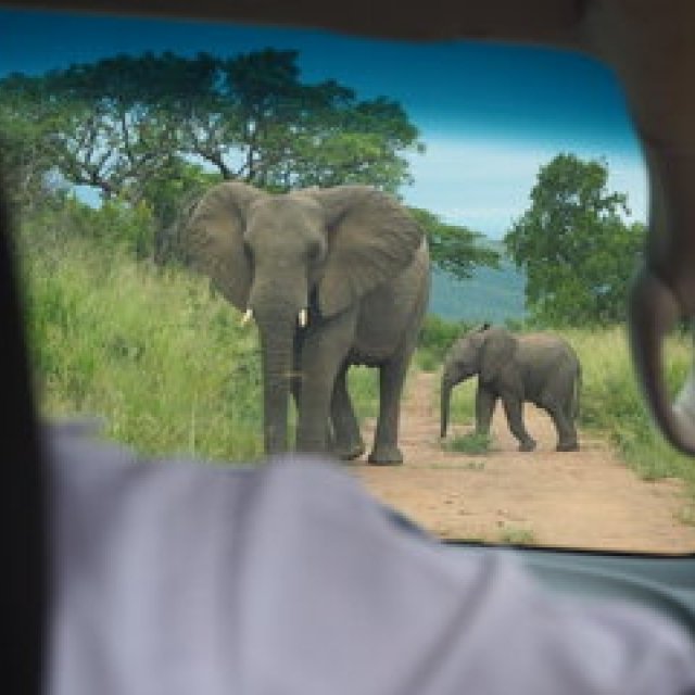 連載｜南アフリカ旅行記