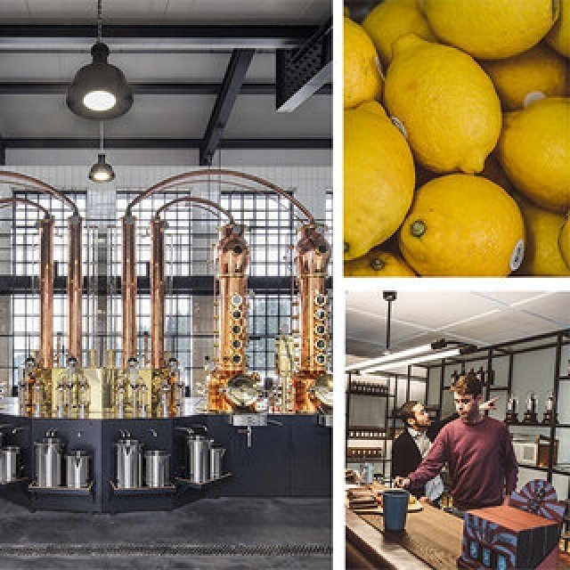 世界最高峰のクラフト・ジン「モンキー47」クロニクル｜MONKEY 47