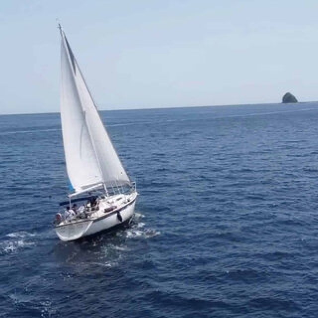 三浦按針ゆかりの地、伊東で大航海時代のロマンに触れる「手業のひととき」｜TRAVEL