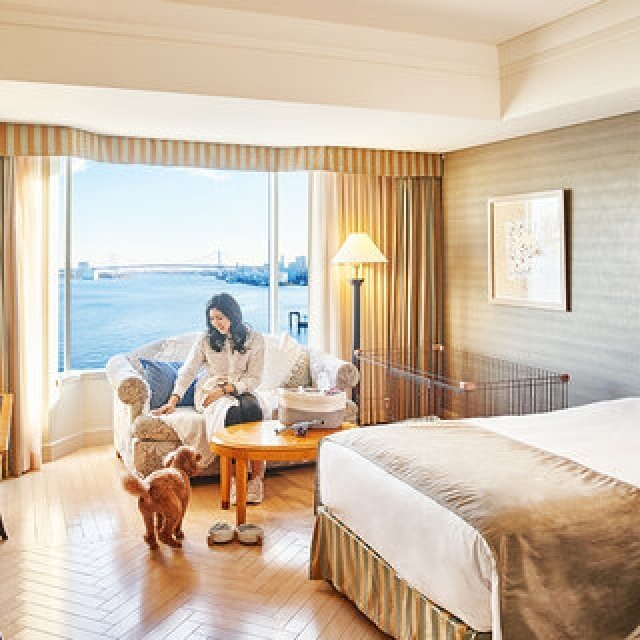 愛犬と一緒にホテルステイを楽しむ。記念撮影やトリートサービスが新登場｜INTERCONTINENTAL TOKYO BAY
