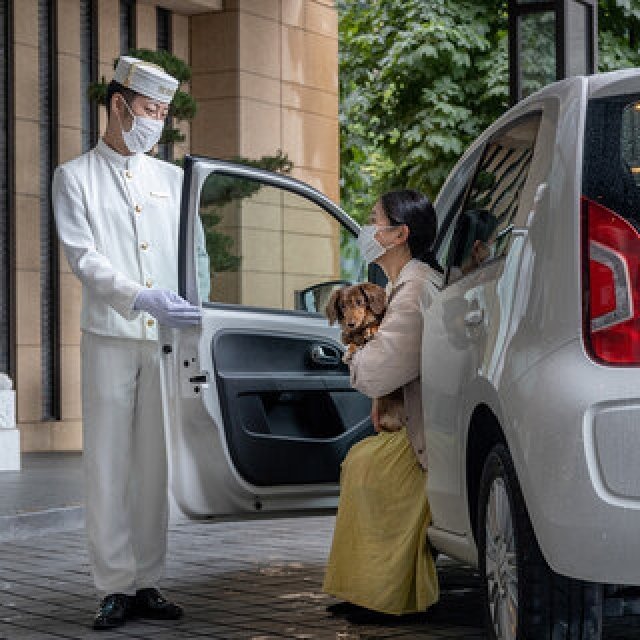 ［犬と泊まれる宿］“館内抱きかかえで皇居お散歩”が叶う！　ザ・ペニンシュラ東京「ドッグステイプログラム」全容を大公開｜TRAVEL