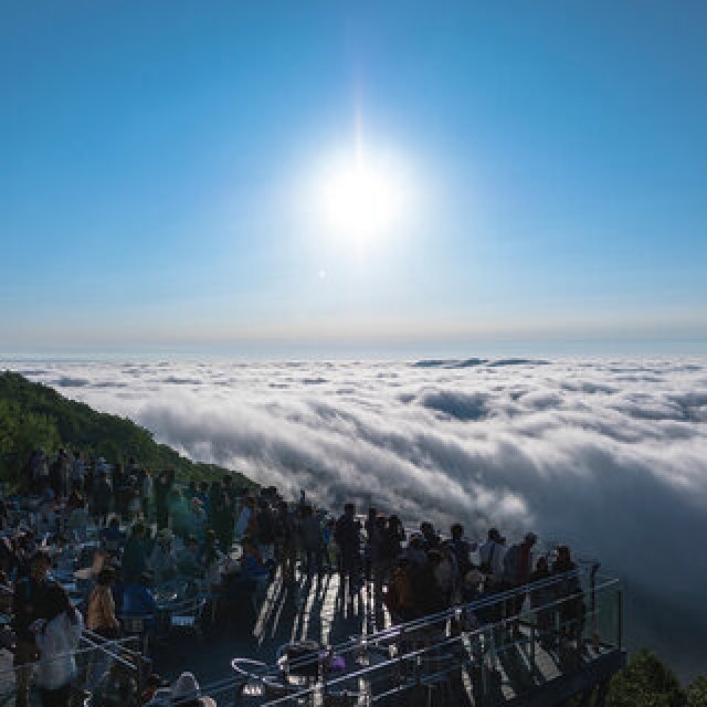 北海道感ほとばしる、 雲海、ファームエリア、ナチュールワイン。夏トマムを満喫するTO DOリスト｜TRAVEL