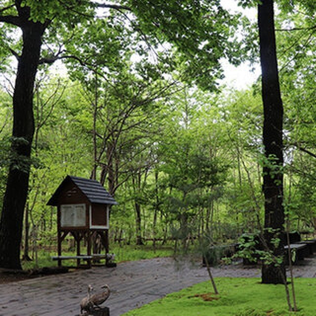 五感で学ぶ、地域に根ざしたボトムアップな循環型経済特別ツアー「crQlr Summit 2023 JAPAN」開催｜LOUNGE