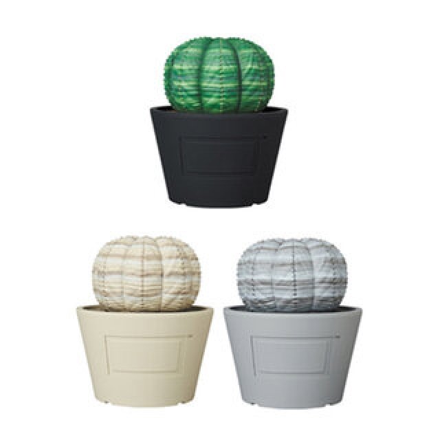 VCD Euphorbia obesa｜MEDICOM TOY