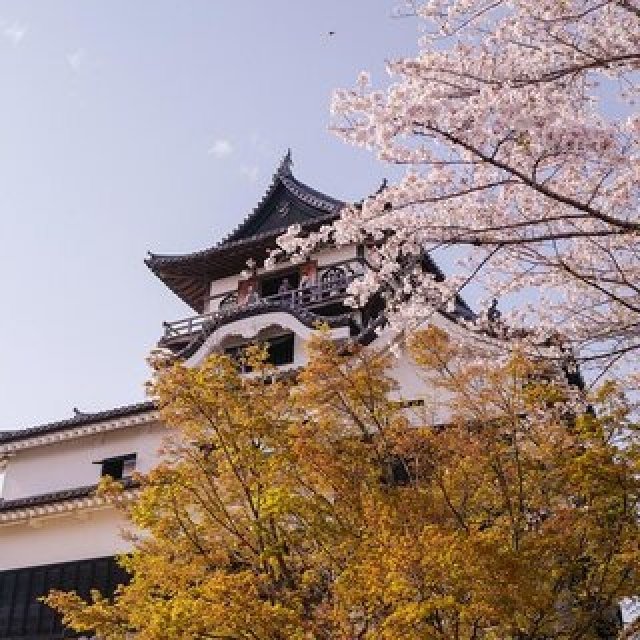 大自然に囲まれながらヒストリカルでクリエイティブな刺激と休息を。 2つの国宝に隣接する「ホテルインディゴ犬山有楽苑」でリブートする｜TRAVEL