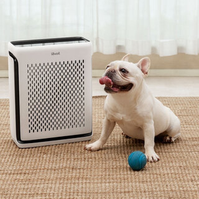 深呼吸できる空気を届ける「Levoit Vital 100S 空気清浄機」 ｜PRODUCT