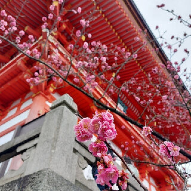 「そうだ 京都、行こう。」 今改めて夏の古都を訪れて味わう、非日常の特別な“癒し”|TRAVEL