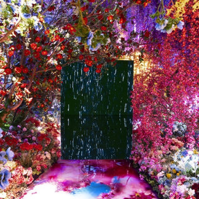 2025年注目のアート展 その1。新しい視座で魅せる個性派アーティスト3選