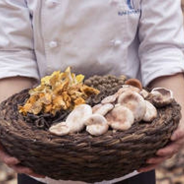 野生のきのことフォアグラを堪能するフレンチ｜Karuizawa Hotel Bleston Court