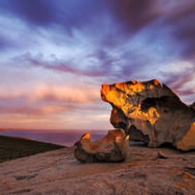 連載｜美しきBoutique city、アデレードへ Vol.2