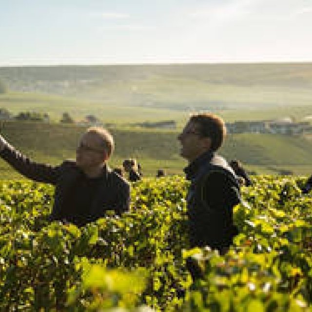 ドン ペリニヨン醸造最高責任者の「レガシーの継承」を発表｜Dom Pérignon