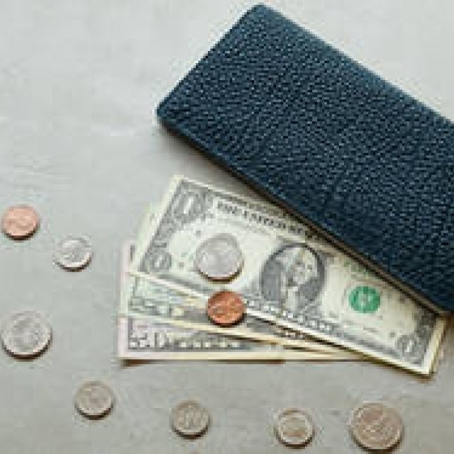 宝石のように輝く美しいレザーでつくられた大人の長財布｜TAVARAT