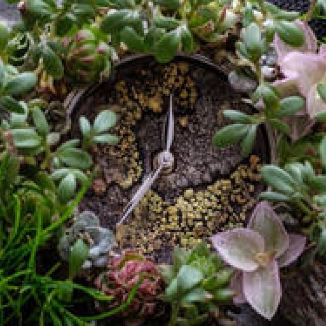 サステナブルな社会の実現と環境保全を訴求するコンセプトモデルを発表｜H.MOSER & CIE.