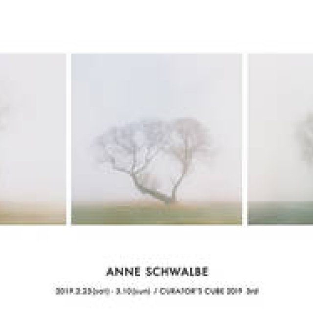 ドイツ人作家のアンネ・シュヴァルべ。日本で6年ぶりとなるエキシビションを開催｜CURATOR’S CUBE