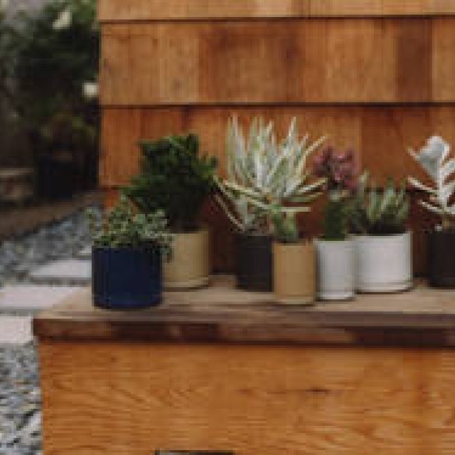 歴史ある陶磁器を現代風に。室内外で使えるプランター｜Hasami Porcelain