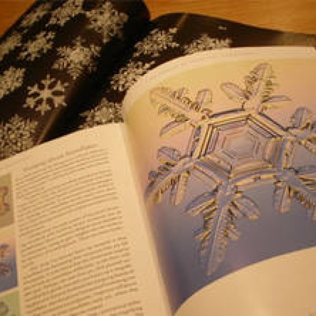 第1回　究極のデザインは自然？