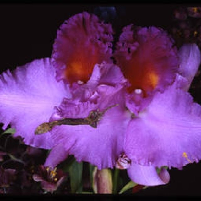 第8回：荒木さんの写真と、僕の収穫