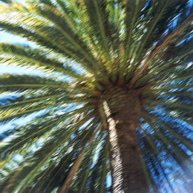 カラー写真への遙かなる道　第2回