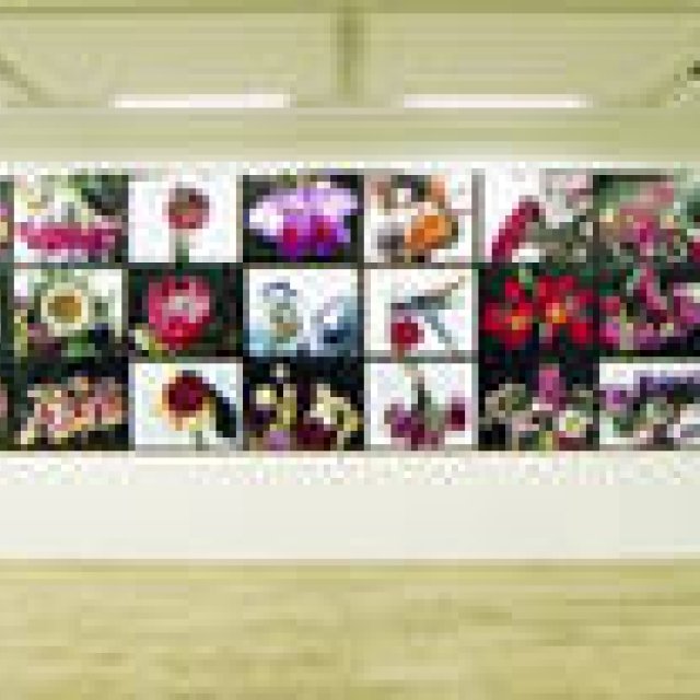 第10回 荒木経惟氏×B.ミハイロフ氏トークショー (その2)