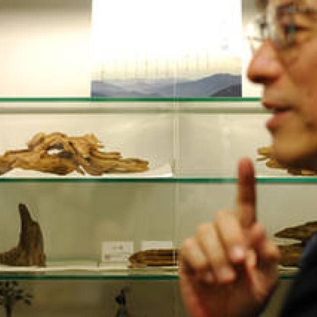 香道の魅力を探る＿2