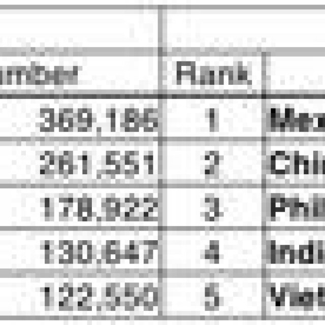 フォトグラファー Tomo Stampedeからのメール（5）