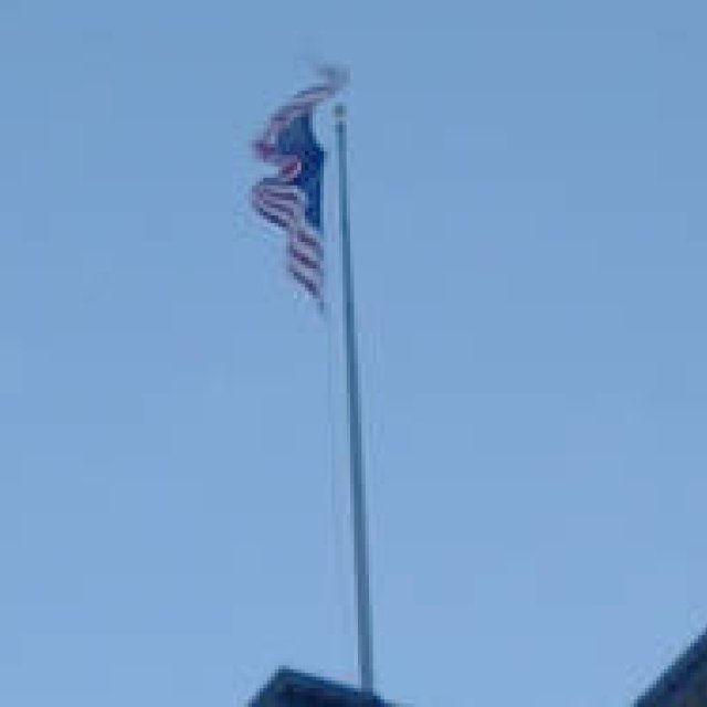 Life is Edit. #008 ～ニューヨークで立ち止まり、ふと考えた～