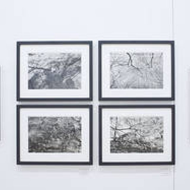 リー・フリードランダー写真展『桜狩』（その2）