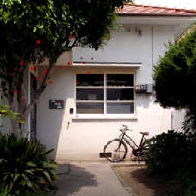 四月の魚｜shigatsu no sakana