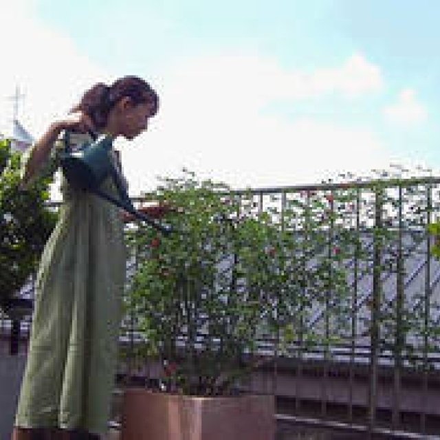 SPECIAL Report｜藤原美智子を、追いかけろ！