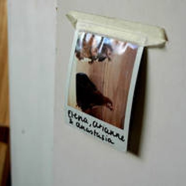 オランダ、フードデザインの現場「Proef アムステルダム」