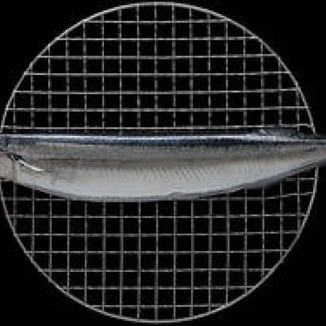 第41回　「食」にまつわる話＿サンマ編