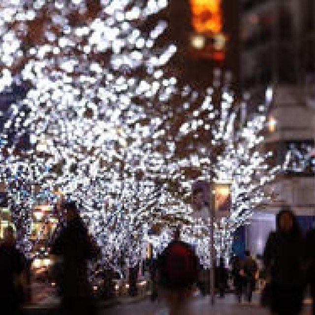 藤原美智子の「色」ものがたり第7回 12月 フェルメールの絵から考察する、ウエディングドレスが“白”の理由