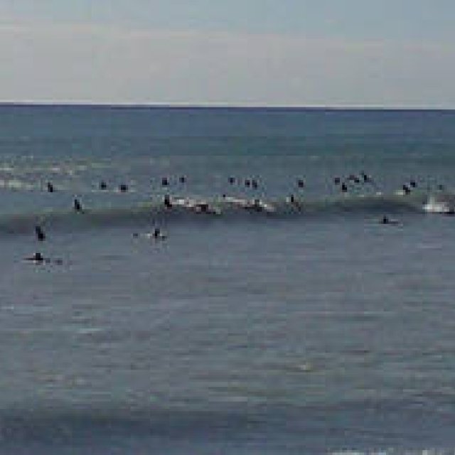 第6回  今回はサーフィンとヨガについて