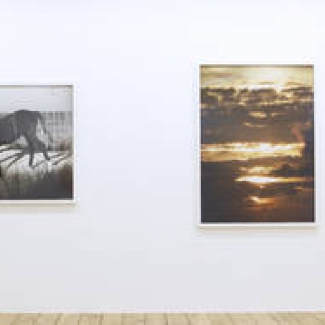 第42回　ロー・アスリッジ個展『グッドナイトフラワーズ』（その2）