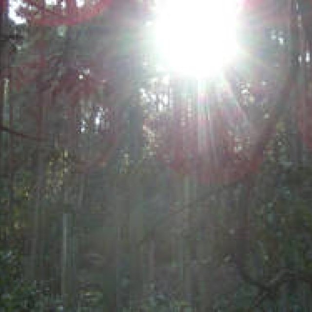 島田　明　Life is Edit. #018 ～自分探し、は終わらない