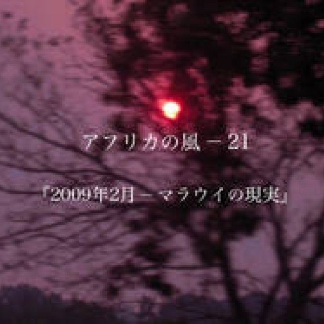 浅野典子「アフリカの風」 Chapter21：2009年2月-マラウイの現実