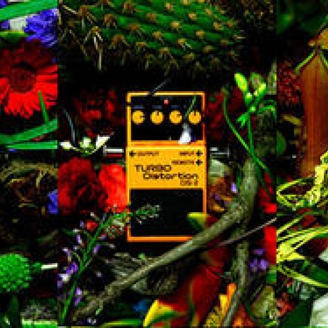 東信エキシビジョン「Distortion × Flowers」開催