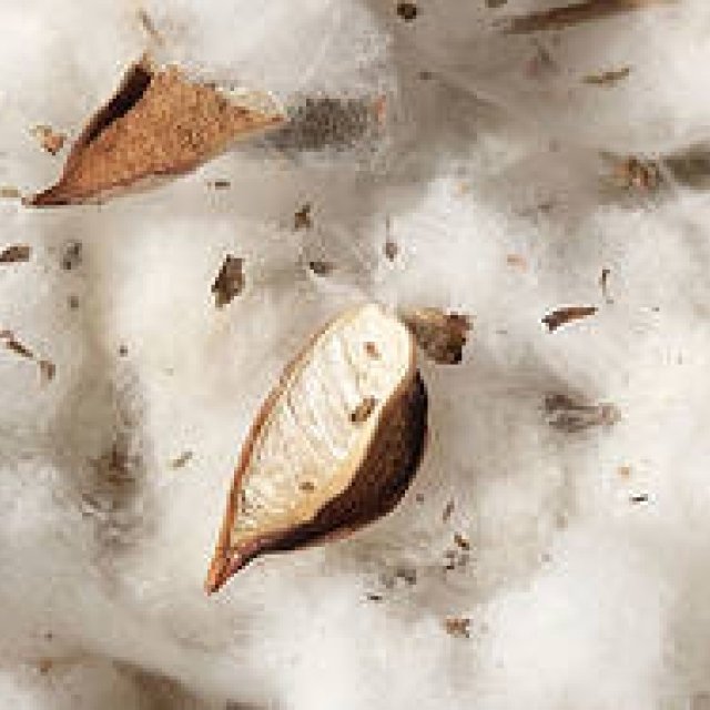 三原康裕│第3回 アバンティ代表取締役 渡邊智恵子さんと語る（4・最終回）