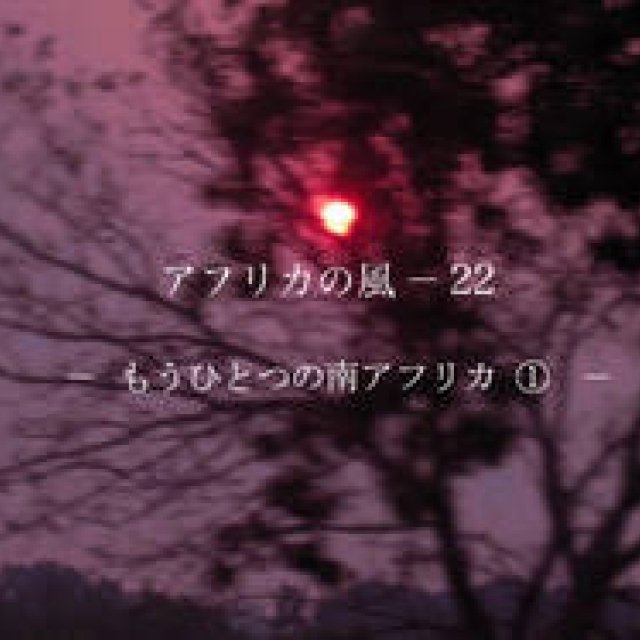 浅野典子「アフリカの風」 Chapter22：もうひとつ南アフリカ 1