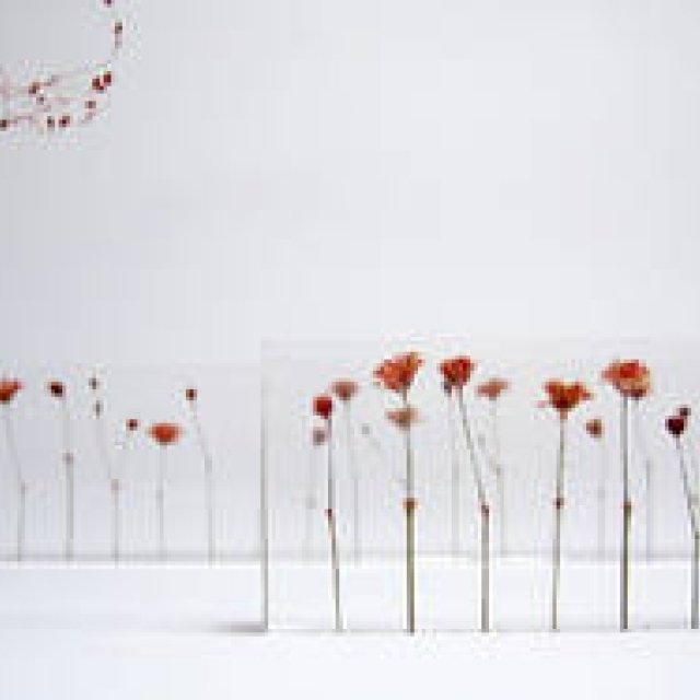 柳本浩市｜第12回 寺山紀彦氏にオランダデザインを聞く(前編)