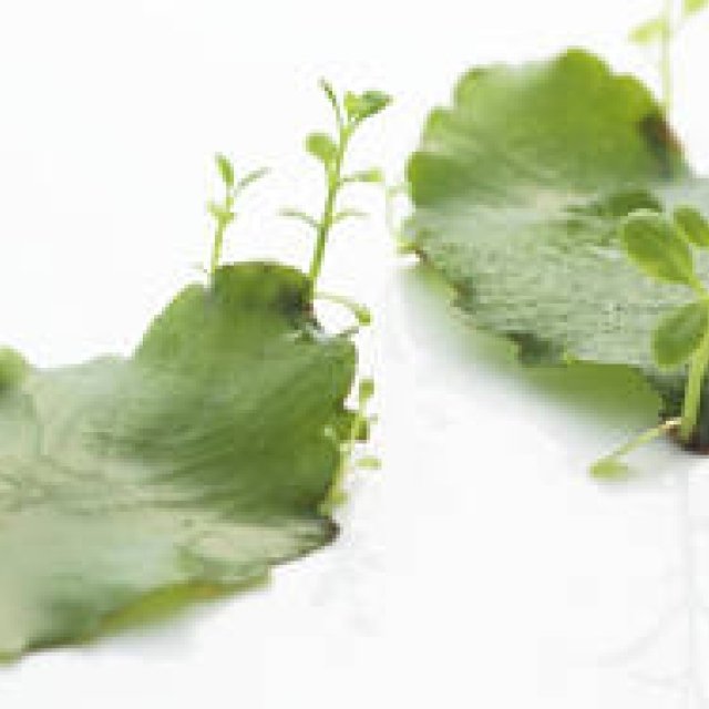 岡部美代治|Vol.6 化粧品の“効果”と肌のターンオーバー